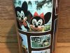 Vintage Walt Disney World Brown Orange Thermo Serve Tumbler - 1970's