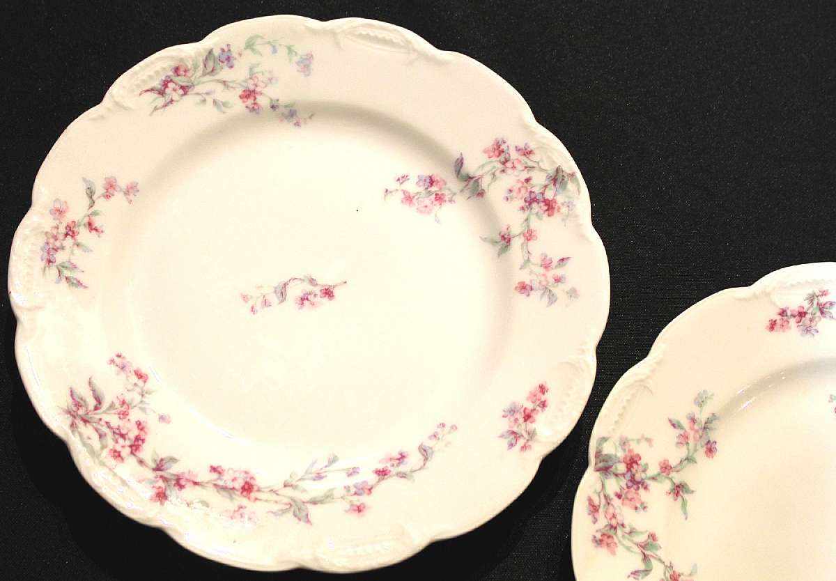 Up for sale are these Schleiger By Haviland & Co Limoges France Set of Two Plates marked Haviland France Haviland & Co, Limoges. Lovely plates. No chips or cracks. They measure approx. 8 5/8"W. Shipping Excludes: Alaska/Hawaii, US Protectora