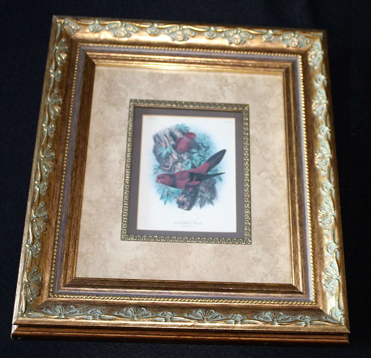 Up for sale is this St. George Jackson Mivart Authorized Print of The Violet Necked Lory. The work was authored by St. George Jackson Mivart and the celebrated John Gerrard Keulemans provided the images. The work was published in London by R. H. Porter. K
